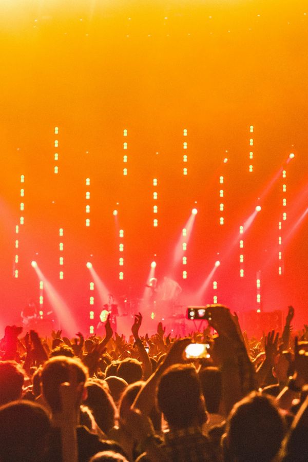 The Festival The Festival